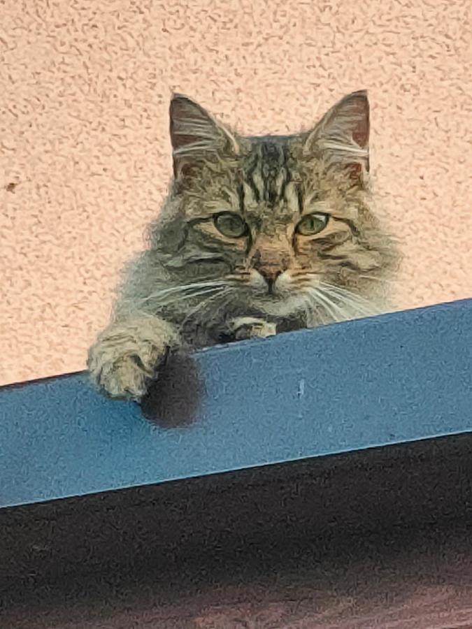 Pokoje Na Brzegu Lapsze Wyzne Esterno foto